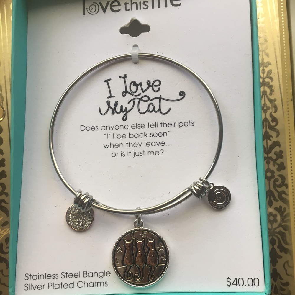 Stainless Steel Love This Life Cat Charm Bracelet